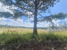 listing-small