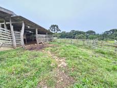 listing-small