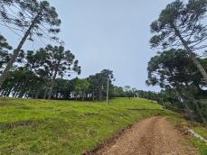 listing-small