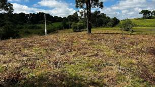 listing-small