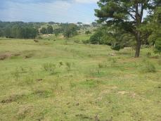 listing-small