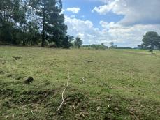 listing-small