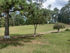 listing-small