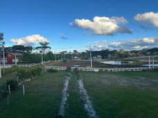 listing-small