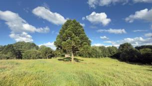 listing-small
