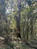 listing-small