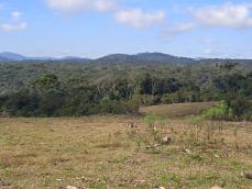 listing-small