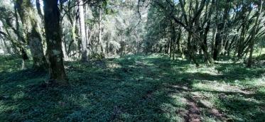 listing-small