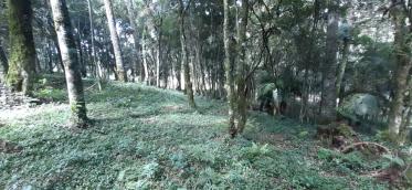 listing-small