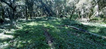 listing-small