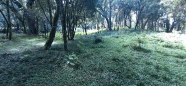 listing-small