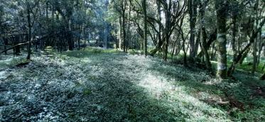 listing-small
