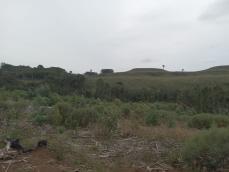 listing-small