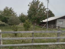 listing-small