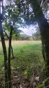 listing-small