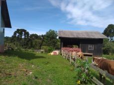 listing-small