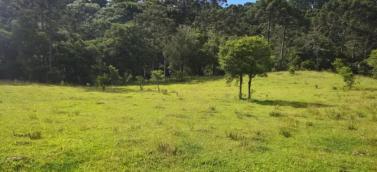 listing-small