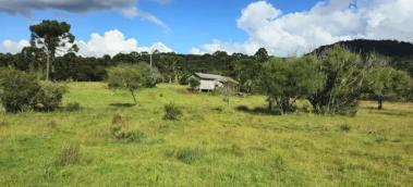listing-small